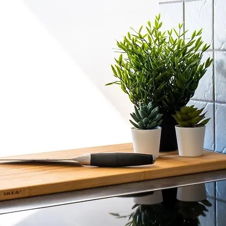 Seafront Apt. With Elevator And French Balcony